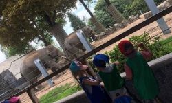 CLSH Ete 2017   062